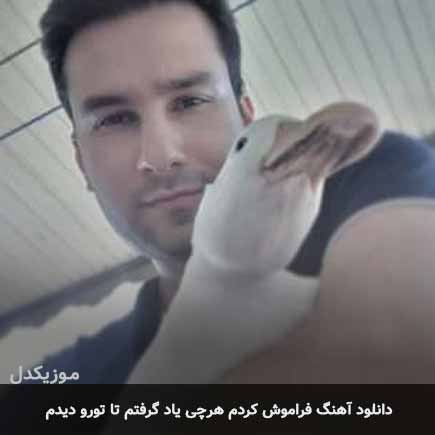 mehdi ahmadvand faramosh kardam
