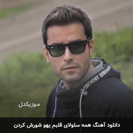 mehdi ahmadvand hame selolay ghalbam